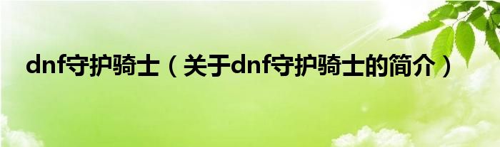 dnf守護騎士（關于dnf守護騎士的簡介）