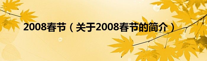 2008春節(jié)（關(guān)于2008春節(jié)的簡(jiǎn)介）