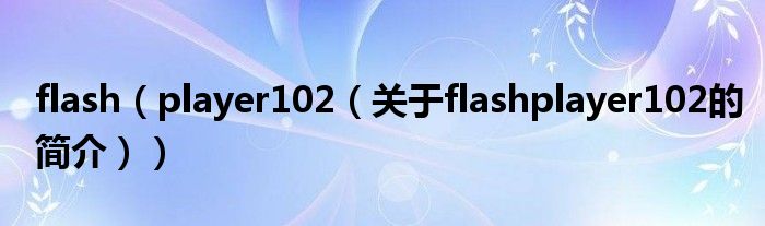 flash（player102（關于flashplayer102的簡介））