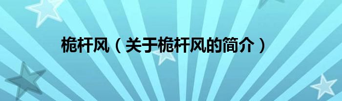 桅桿風(fēng)（關(guān)于桅桿風(fēng)的簡(jiǎn)介）