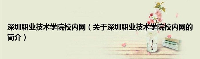 深圳職業(yè)技術學院校內(nèi)網(wǎng)（關于深圳職業(yè)技術學院校內(nèi)網(wǎng)的簡介）