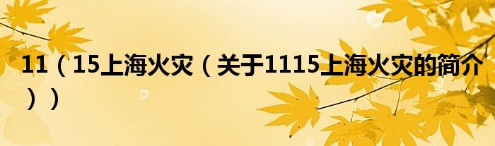 11（15上海火災(zāi)（關(guān)于1115上?；馂?zāi)的簡(jiǎn)介））