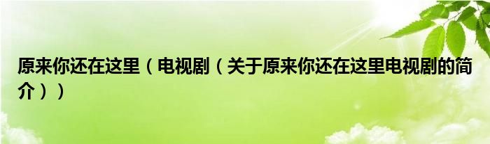 原來你還在這里（電視?。P于原來你還在這里電視劇的簡介））