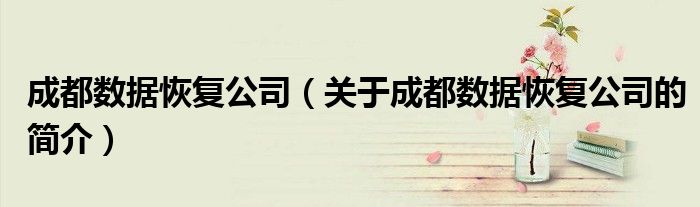 成都數(shù)據(jù)恢復(fù)公司（關(guān)于成都數(shù)據(jù)恢復(fù)公司的簡(jiǎn)介）