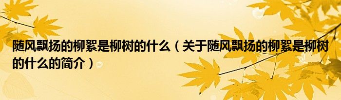 隨風(fēng)飄揚的柳絮是柳樹的什么（關(guān)于隨風(fēng)飄揚的柳絮是柳樹的什么的簡介）