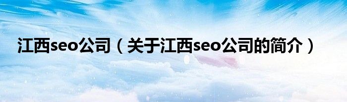 江西seo公司（關于江西seo公司的簡介）