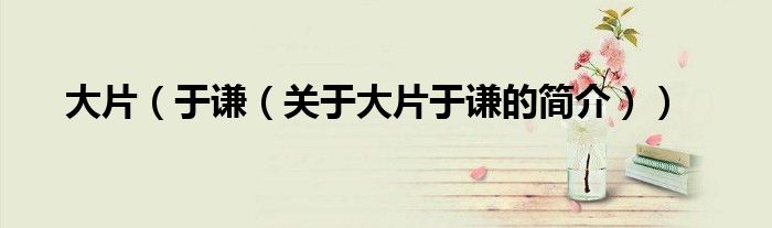 大片（于謙（關(guān)于大片于謙的簡(jiǎn)介））