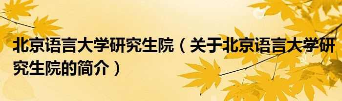 北京語(yǔ)言大學(xué)研究生院（關(guān)于北京語(yǔ)言大學(xué)研究生院的簡(jiǎn)介）