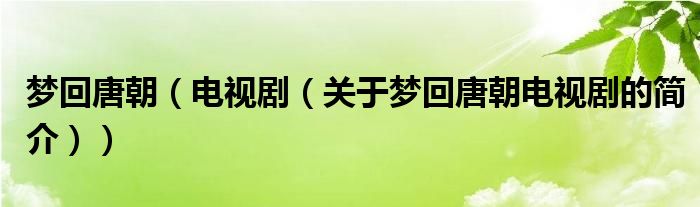 夢回唐朝（電視?。P(guān)于夢回唐朝電視劇的簡介））