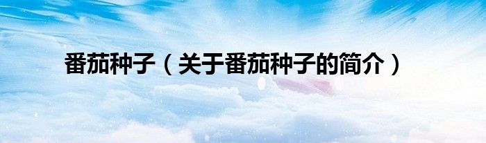 番茄種子（關于番茄種子的簡介）