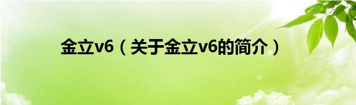 金立v6（關(guān)于金立v6的簡介）