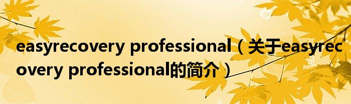 easyrecovery professional（關(guān)于easyrecovery professional的簡(jiǎn)介）
