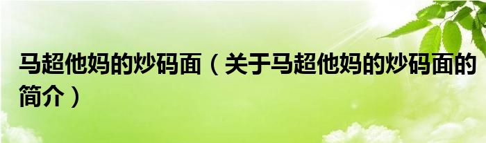 馬超他媽的炒碼面（關于馬超他媽的炒碼面的簡介）