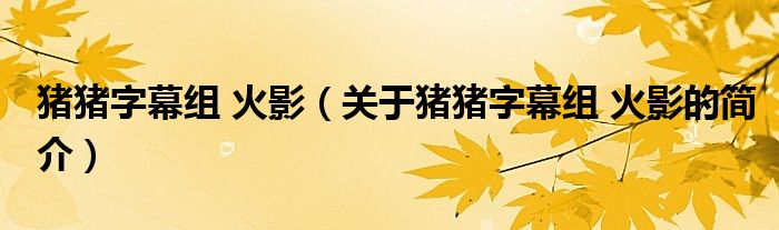 豬豬字幕組 火影（關于豬豬字幕組 火影的簡介）