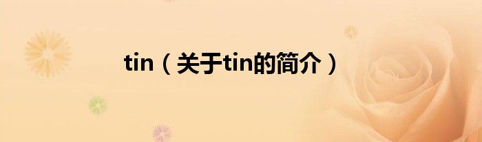 tin（關于tin的簡介）
