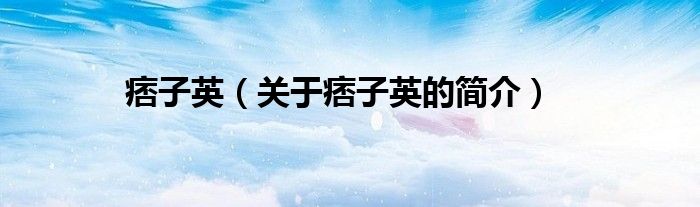 痞子英（關(guān)于痞子英的簡介）