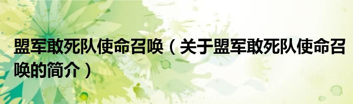 盟軍敢死隊(duì)使命召喚（關(guān)于盟軍敢死隊(duì)使命召喚的簡介）