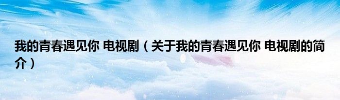 我的青春遇見你 電視?。P(guān)于我的青春遇見你 電視劇的簡介）