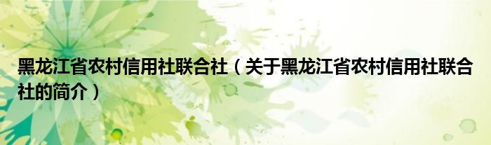黑龍江省農(nóng)村信用社聯(lián)合社（關(guān)于黑龍江省農(nóng)村信用社聯(lián)合社的簡介）