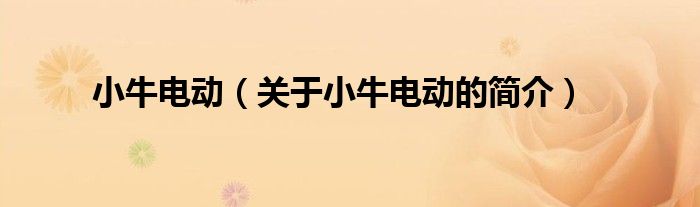 小牛電動（關于小牛電動的簡介）