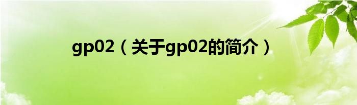 gp02（關于gp02的簡介）