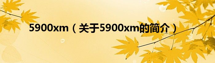 5900xm（關(guān)于5900xm的簡(jiǎn)介）