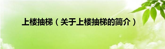 上樓抽梯（關于上樓抽梯的簡介）