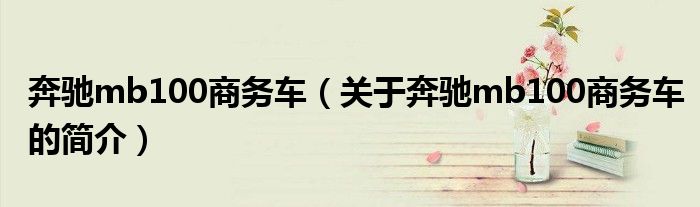 奔馳mb100商務(wù)車(chē)（關(guān)于奔馳mb100商務(wù)車(chē)的簡(jiǎn)介）
