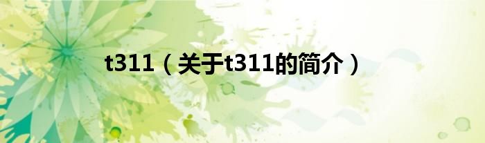 t311（關(guān)于t311的簡介）