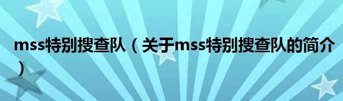 mss特別搜查隊（關(guān)于mss特別搜查隊的簡介）