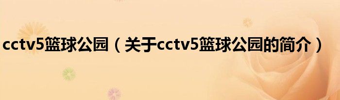 cctv5籃球公園（關(guān)于cctv5籃球公園的簡(jiǎn)介）