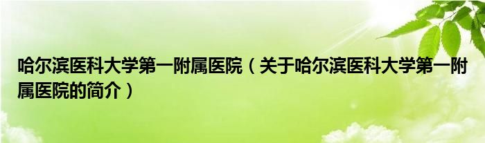 哈爾濱醫(yī)科大學(xué)第一附屬醫(yī)院（關(guān)于哈爾濱醫(yī)科大學(xué)第一附屬醫(yī)院的簡介）