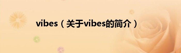 vibes（關于vibes的簡介）