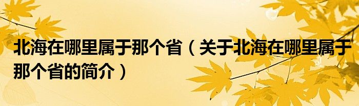 北海在哪里屬于那個(gè)?。P(guān)于北海在哪里屬于那個(gè)省的簡(jiǎn)介）