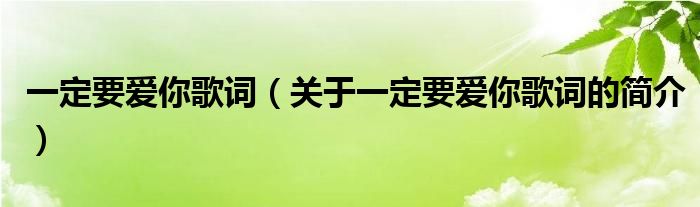 一定要愛(ài)你歌詞（關(guān)于一定要愛(ài)你歌詞的簡(jiǎn)介）