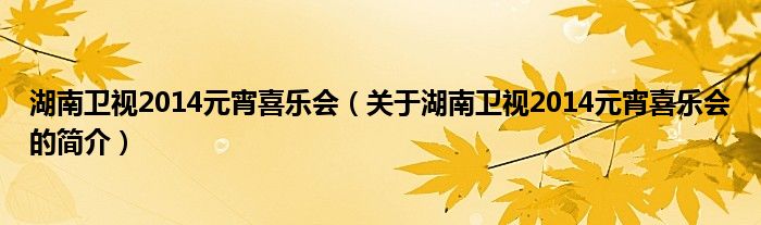 湖南衛(wèi)視2014元宵喜樂會（關于湖南衛(wèi)視2014元宵喜樂會的簡介）