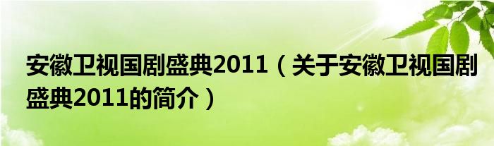 安徽衛(wèi)視國劇盛典2011（關于安徽衛(wèi)視國劇盛典2011的簡介）