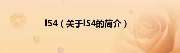 l54（關(guān)于l54的簡介）