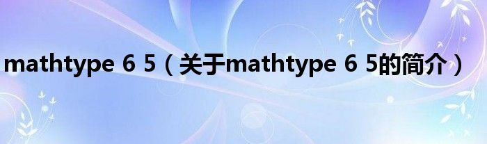 mathtype 6 5（關(guān)于mathtype 6 5的簡(jiǎn)介）