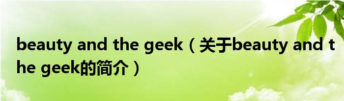 beauty and the geek（關于beauty and the geek的簡介）