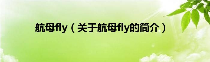 航母fly（關(guān)于航母fly的簡(jiǎn)介）