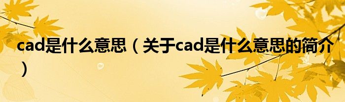 cad是什么意思（關(guān)于cad是什么意思的簡介）