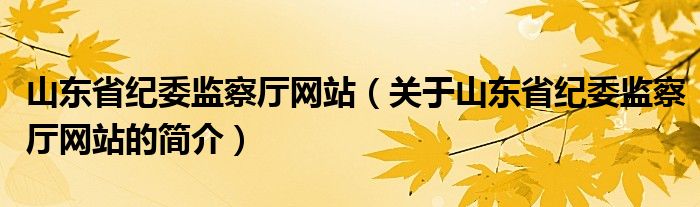 山東省紀委監(jiān)察廳網站（關于山東省紀委監(jiān)察廳網站的簡介）