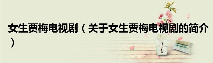 女生賈梅電視?。P于女生賈梅電視劇的簡介）