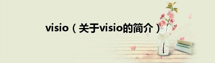visio（關(guān)于visio的簡介）