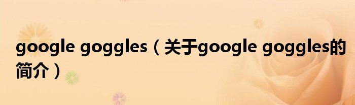 google goggles（關于google goggles的簡介）