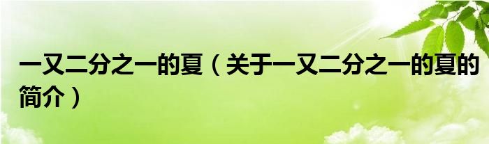 一又二分之一的夏（關于一又二分之一的夏的簡介）