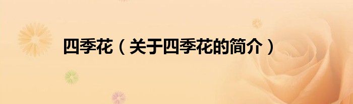 四季花（關于四季花的簡介）