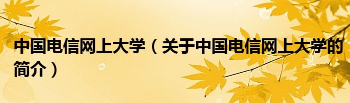 中國電信網(wǎng)上大學（關(guān)于中國電信網(wǎng)上大學的簡介）