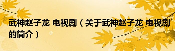 武神趙子龍 電視?。P(guān)于武神趙子龍 電視劇的簡(jiǎn)介）